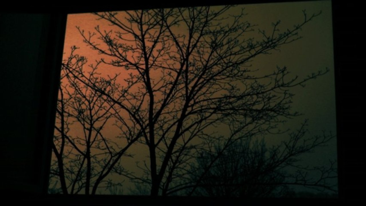 in my mind