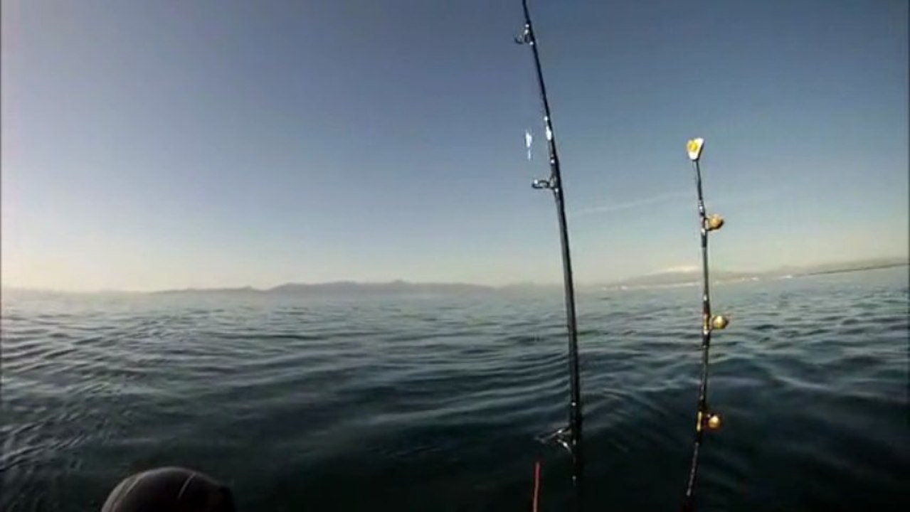 Catalina Test moteur - Pêche en Mer avec Roussillon Fishing