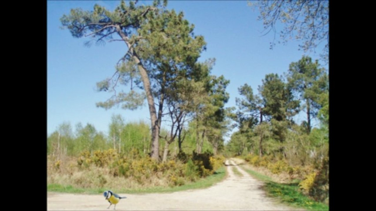 chaumont d'anjou