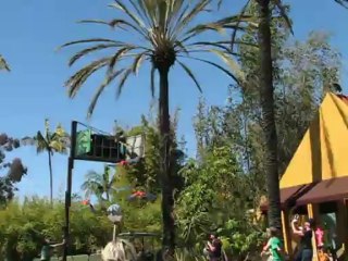 Flying The Macaws . . . Oh @$#$!!