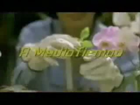 redes de mercadeo (2)