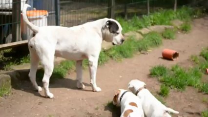 Curtis & Co Killa avec Curtis & Co Indiana