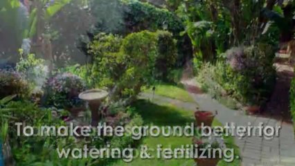 Doing The Right Yard Treatment In Your Lawn