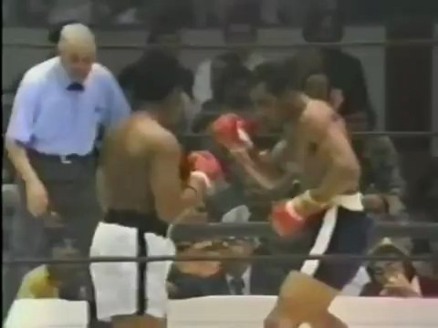 Ali wearing the famous dress from Elvis Presley 1973 March 31 !