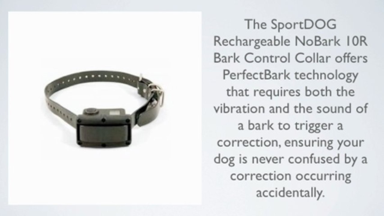 SportDOG Rechargeable NoBark 10R Bark Control Collar