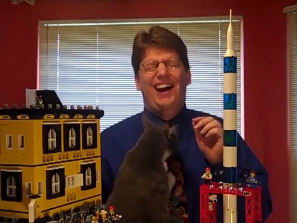 un chat s' inscruste dans la vidéo