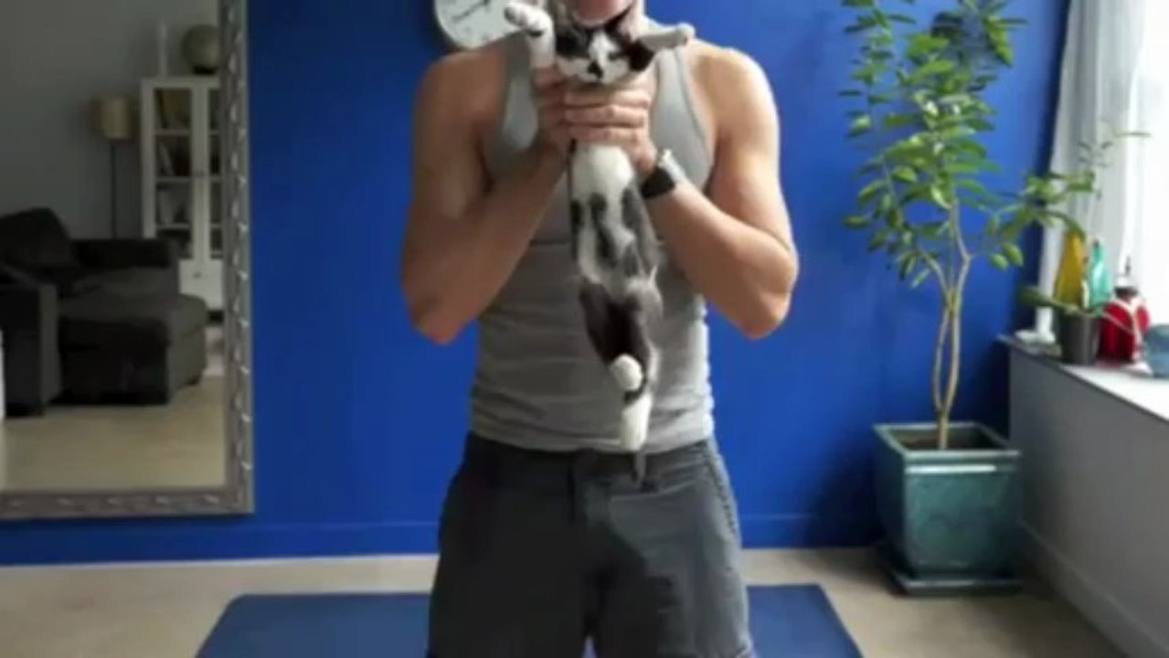 musculation avec des chats