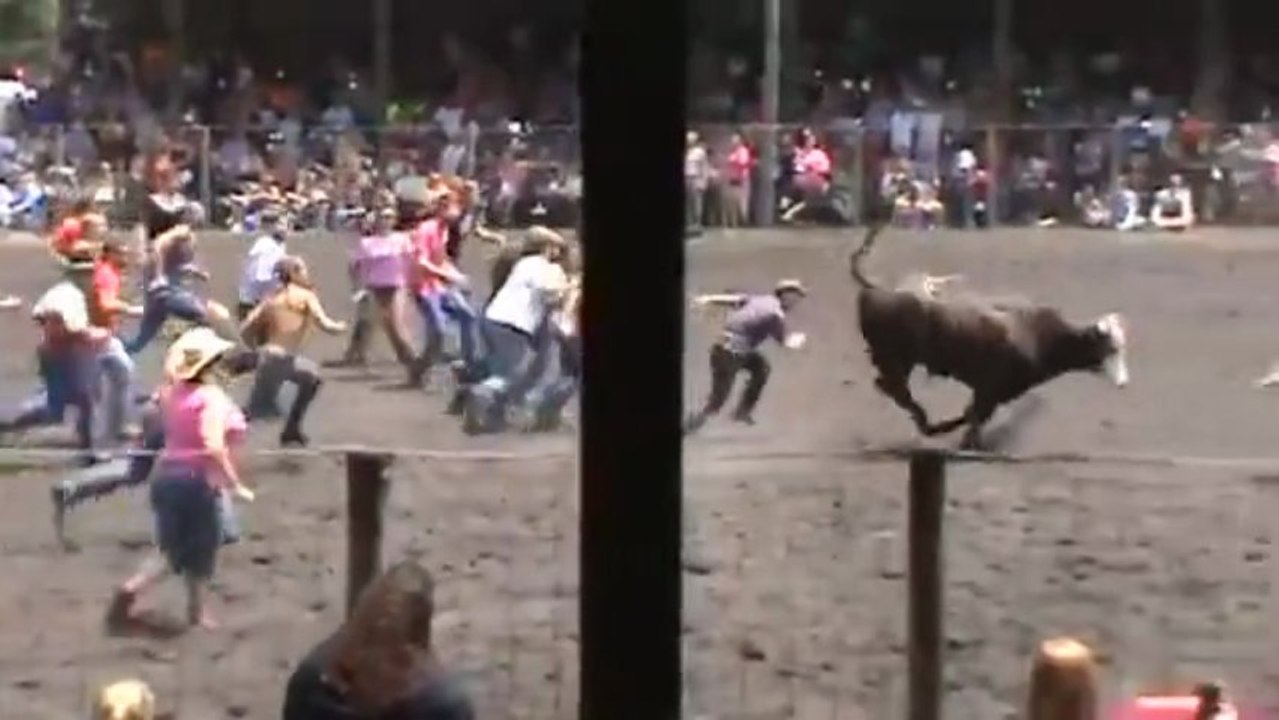 Une femme se fait encorner puis écraser par un taureau