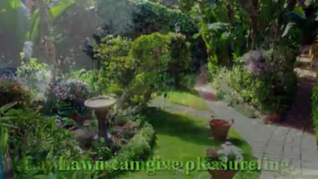 Lawn Treatment Management