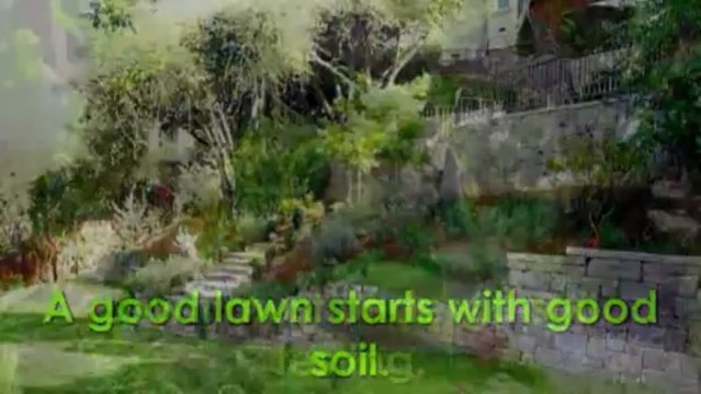 Lawn Care Management