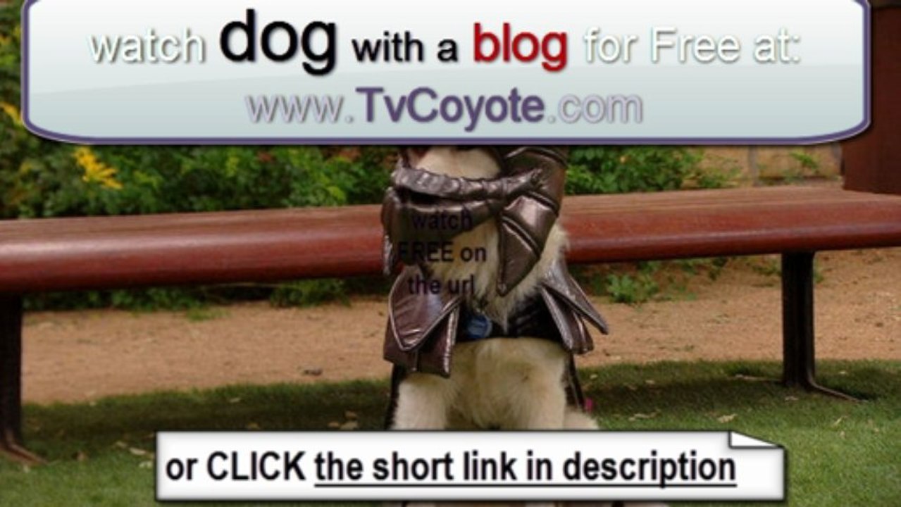 Dog With a Blog Season 1 Episode 14 - Crimes of the Art