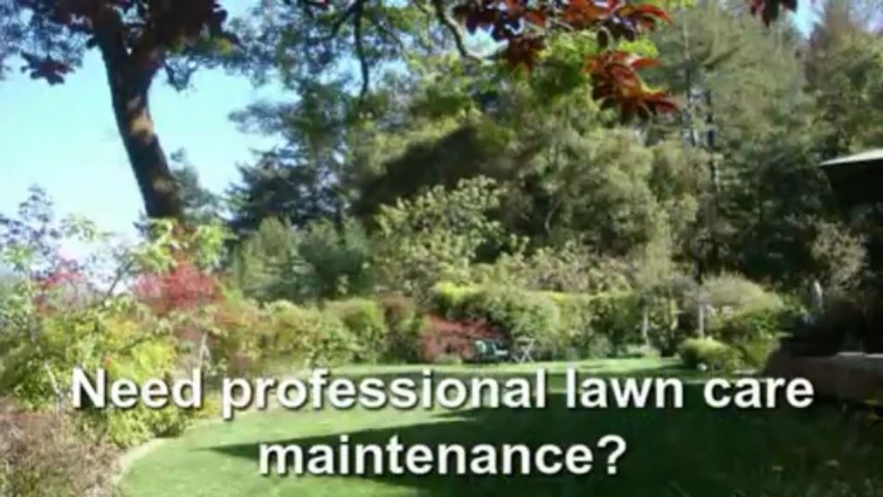 Mowing Lawns the Right Way