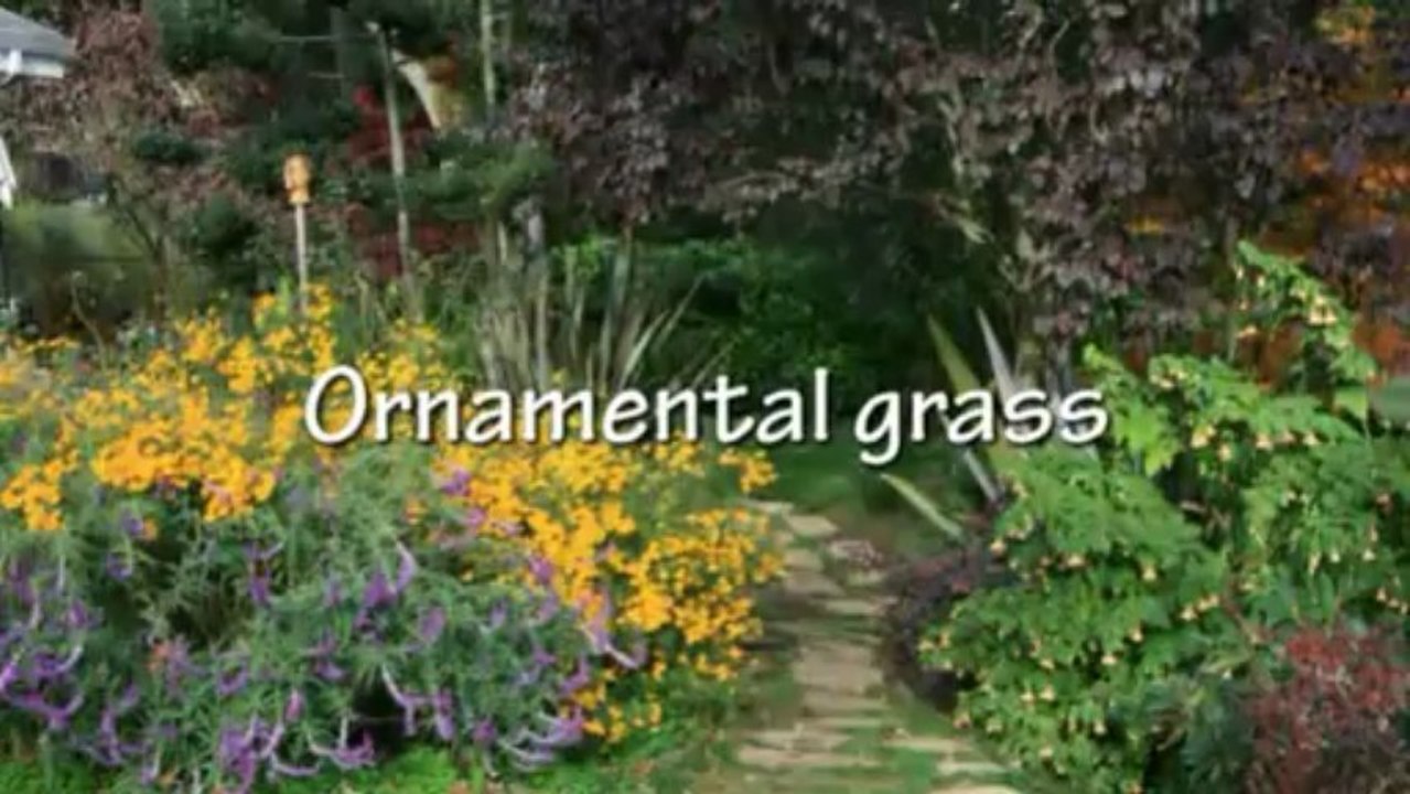 Cutting Grass the Right Way
