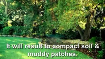 Proper Lawn Maintenance