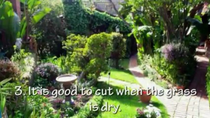 Effective Grass Repair and maintenance