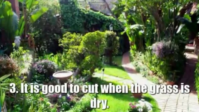 Effective Grass Upkeep