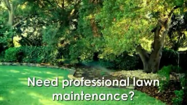 Appropriate Yard Maintenance