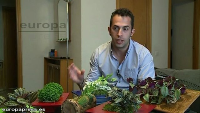 Emprendedores proponen regalar jardines verticales