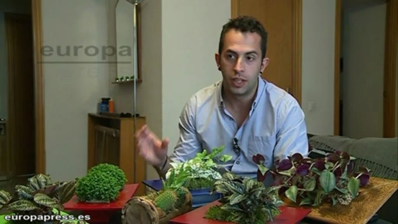 Emprendedores proponen regalar jardines verticales