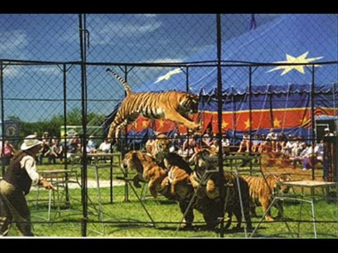 pakistan tehreek-e-insaf Balla Rap .. for PTI supporters