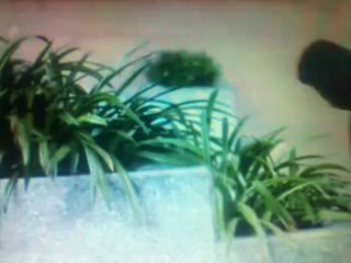 SỬA MÁY GIẶT TẠI TRUNG HÒA 0983.440.201