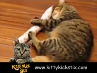My Cat LOVES the KittyKickStix Catnip Toy
