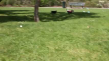 Amour, Geisha et Happiness le 5 mai 2013 027