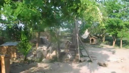 Ville Shelter 5 mai 2013