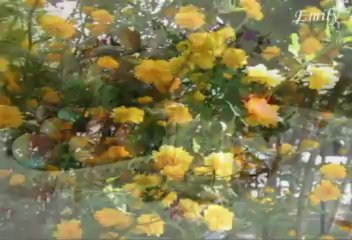 Христос Воскресе!