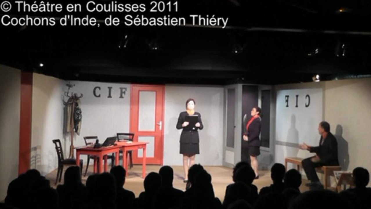 2011 - Cochons d'Inde - Changement de caste