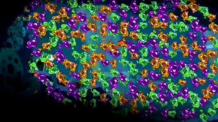 [S2][P6] Rayman Origins