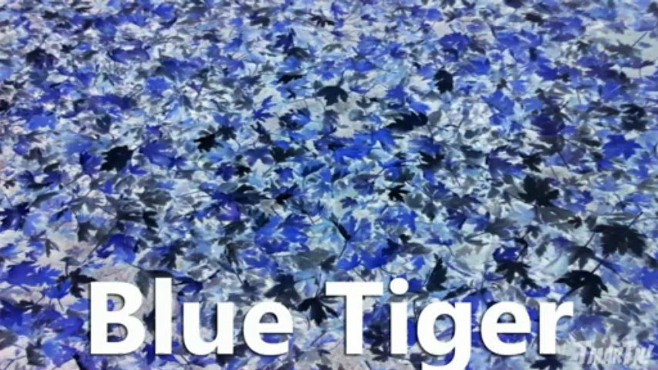 Black Ops 2 - ALL GUN CAMOS! (Call of Duty BO2 Multiplayer Weapon Camo Primary Secondary Launcher)