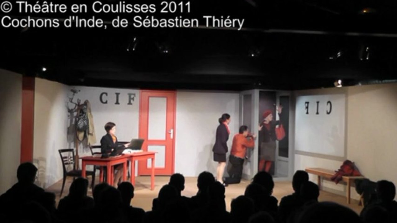 2011 - Cochons d'Inde - La mère