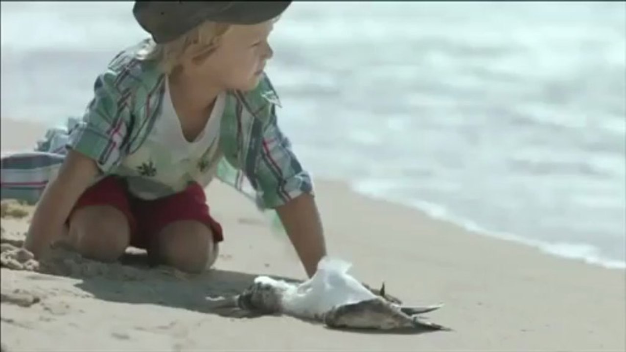 Stop Coca-Cola Trashing Australia