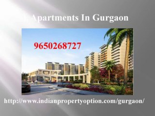 New launch In NCR Call 9650268727