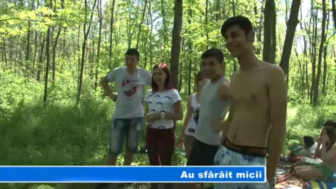 Au sfarait micii