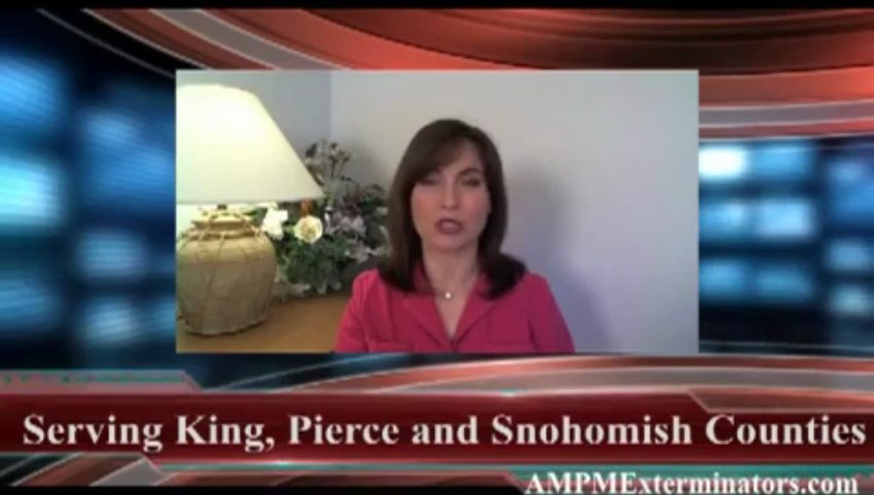 Pest Control Provides Seattle exterminator service and pest control services