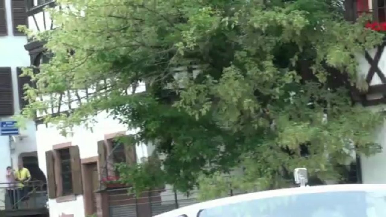 Strasbourg batorama