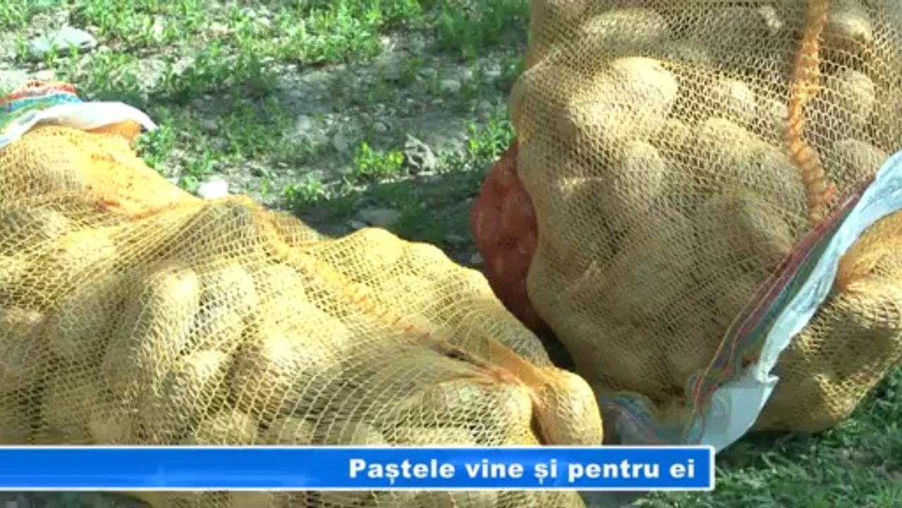 PASTELE VINE SI PT EI
