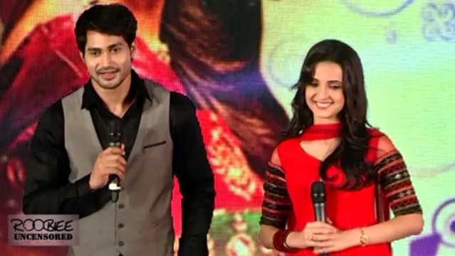 Vivian Dsena QUITS Madhubala Ek Ishq Ek Junoon