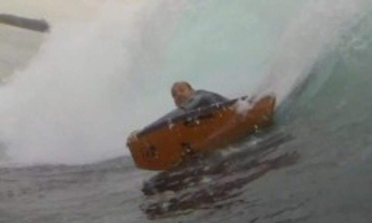 IBA Spot Check - The NSW South Coast - Amaury Lavernhe