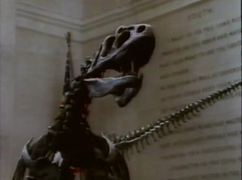 LOS DINOSAURIOS: III-Su naturaleza.