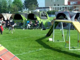 Stef Louhans 05 mai 2013 (3)