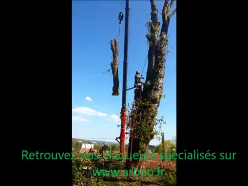 abattage par démontage avec grue