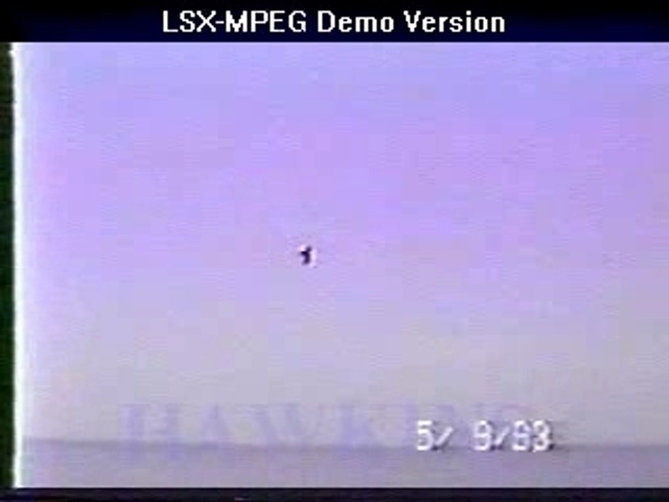 hawk1