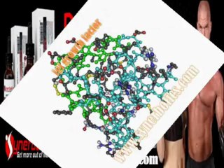 Synerbolics Growth Factors (Deer Antler Velvet)