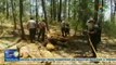 Hallan seis cuerpos enterrados en fosas comunes en México