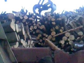 Химкинский лес