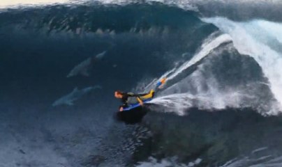 Bodyboard - Roadkill - 2011