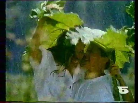 La Cinq 15 Mai 1989 Météo+Fin JT,Inforoute,B.A. Soirée,2 Pubs,Semainier